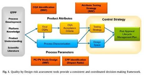 應(yīng)用QbD原理進(jìn)行單克隆抗體開發(fā)的介紹